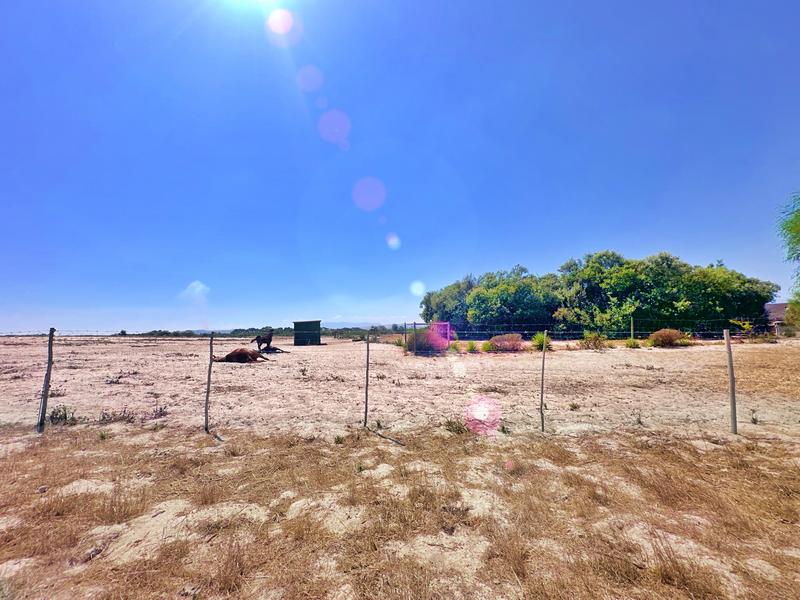 5 Bedroom Property for Sale in Klein Dassenberg Western Cape